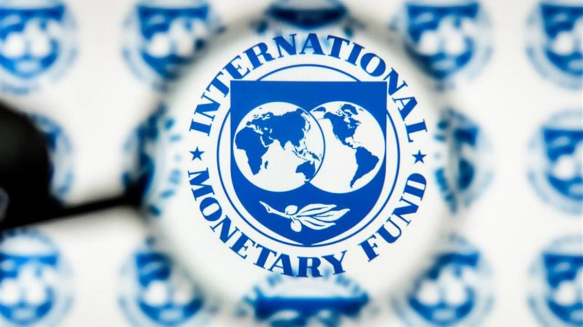 Decoding the IMF Grade | More Than Just a Number