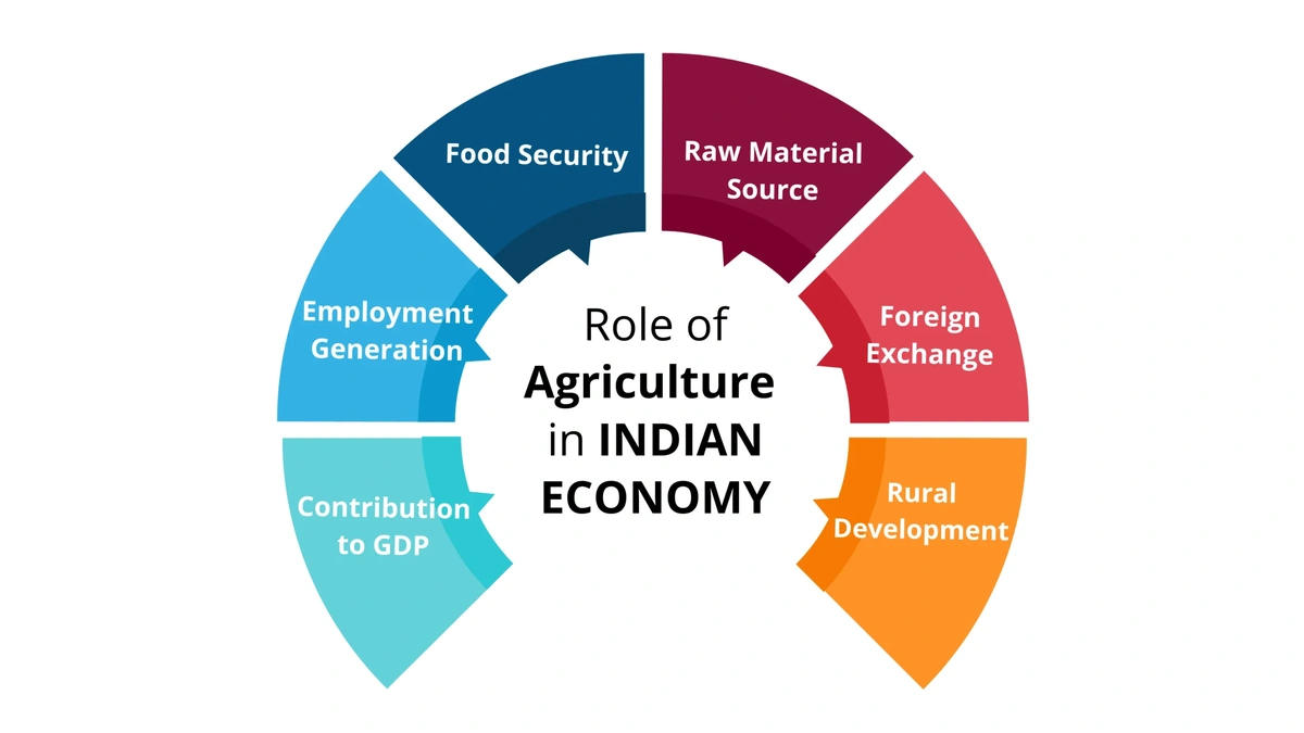 The "Why" | Decoding the Forecast