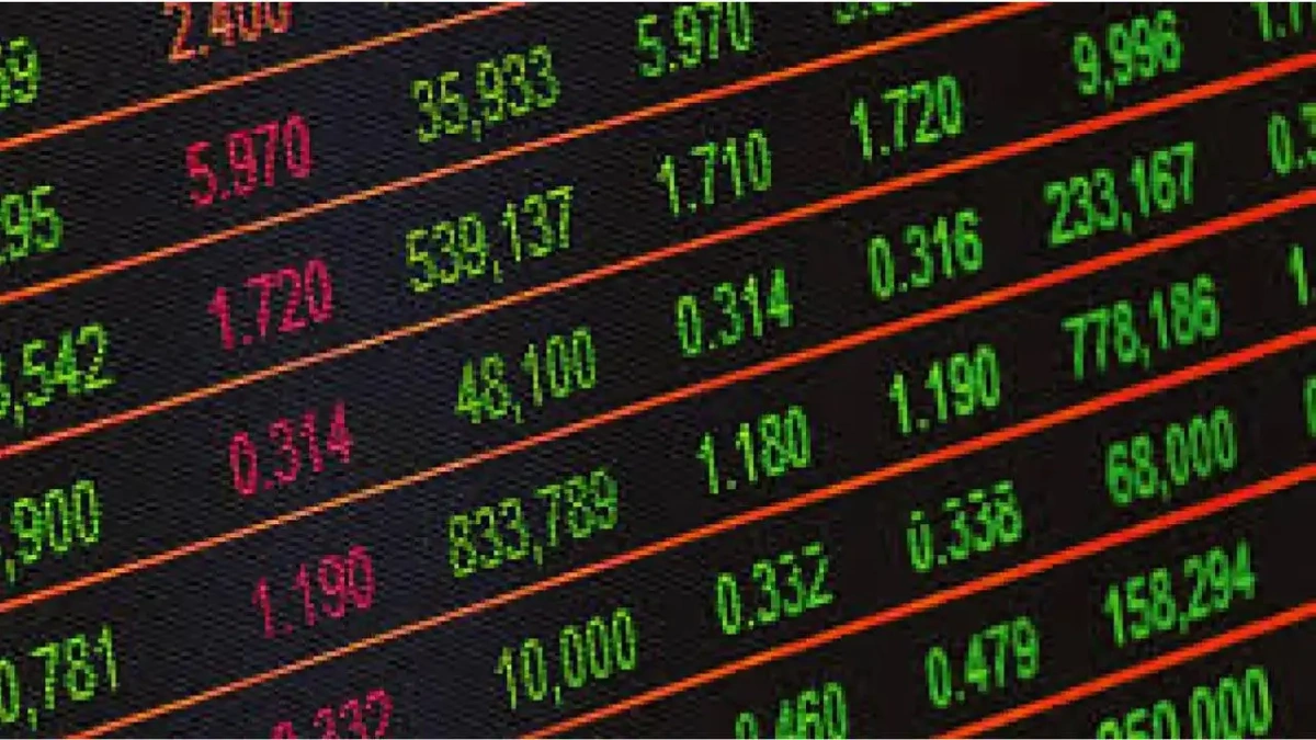 Decoding the Bull Run | What's Fueling the Fire?