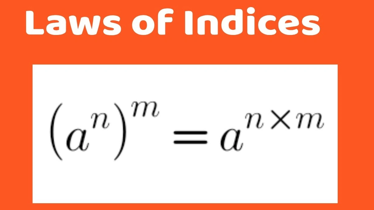 Decoding the Optimism | More Than Just Good Vibes